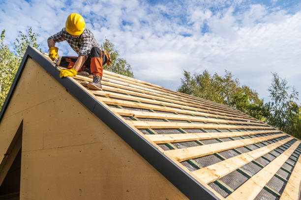 Best Roof Maintenance Services  in Lombard, IL